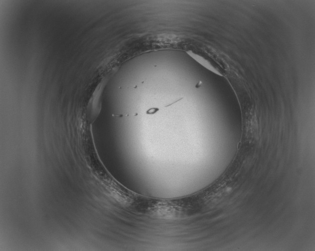 X0000083990608200702232113