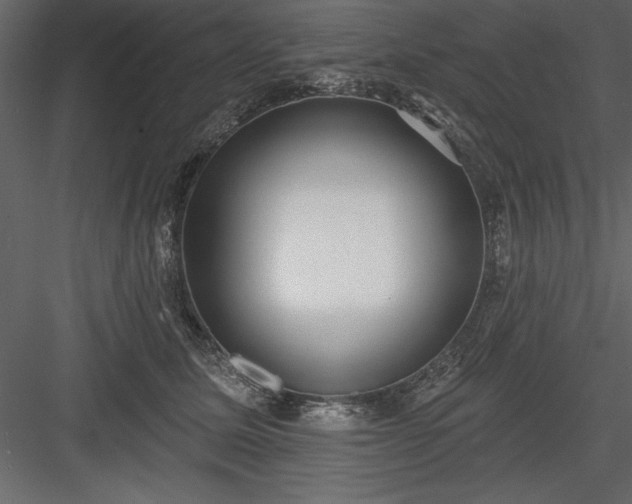 X0000083990611200702232113