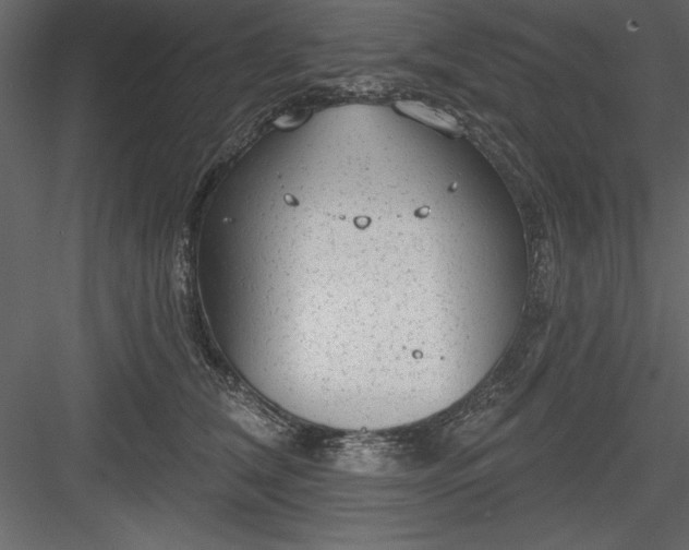 X0000083990612200702232113