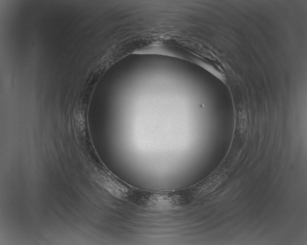 X0000083990613200702232113