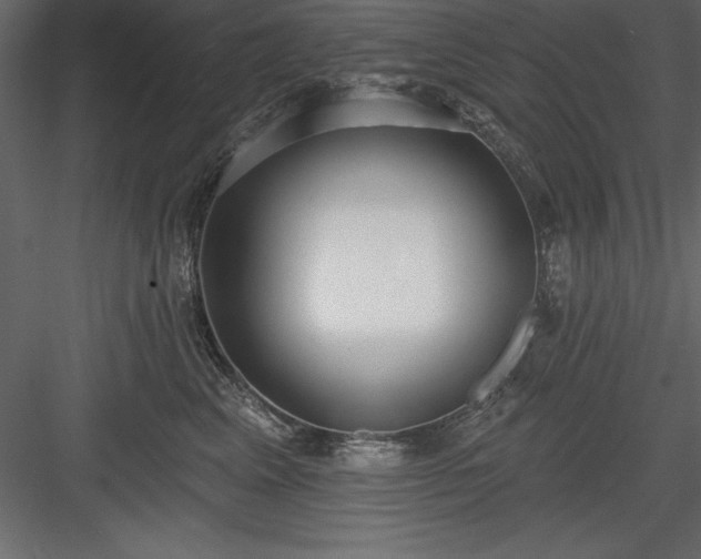 X0000083990617200702232113