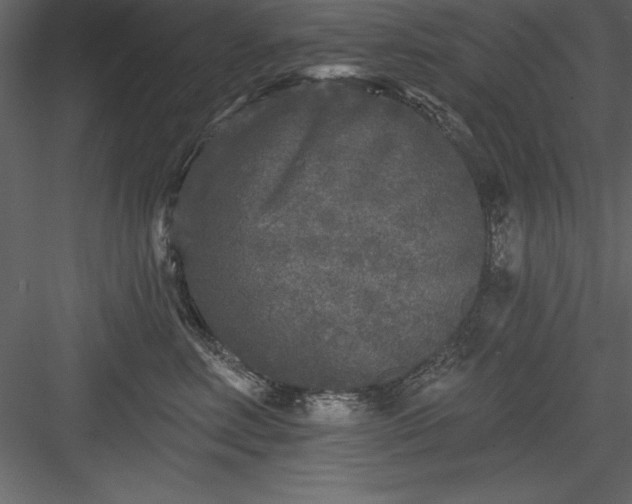 X0000083990618200702232113