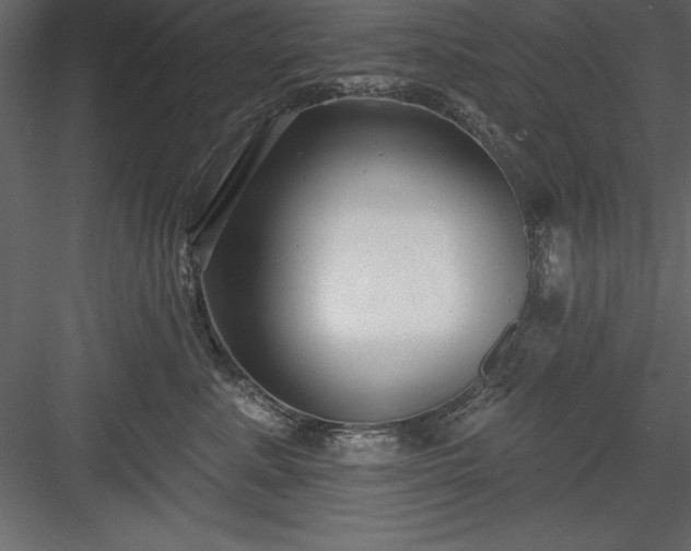 X0000083990619200702232113