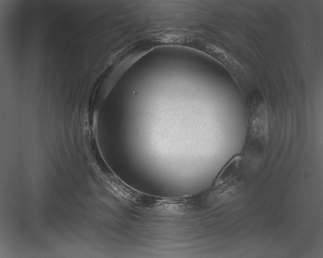 X0000083990620200702232113