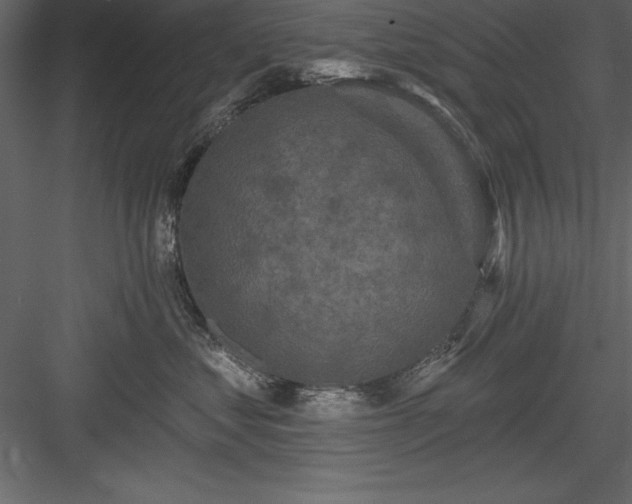 X0000083990621200702232113