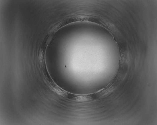 X0000083990623200702232113