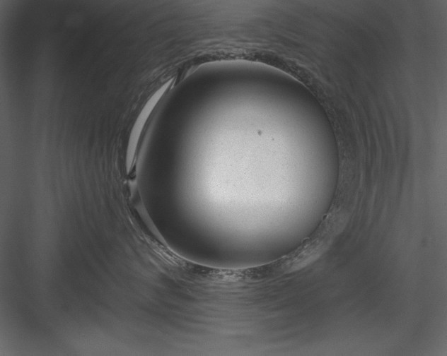 X0000083990624200702232113