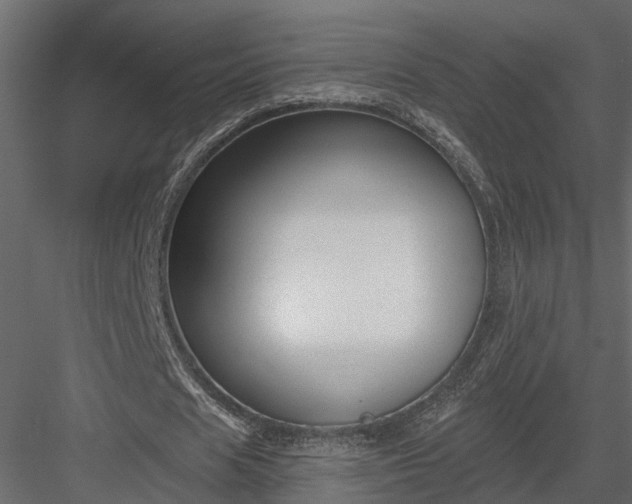 X0000083990625200702232112