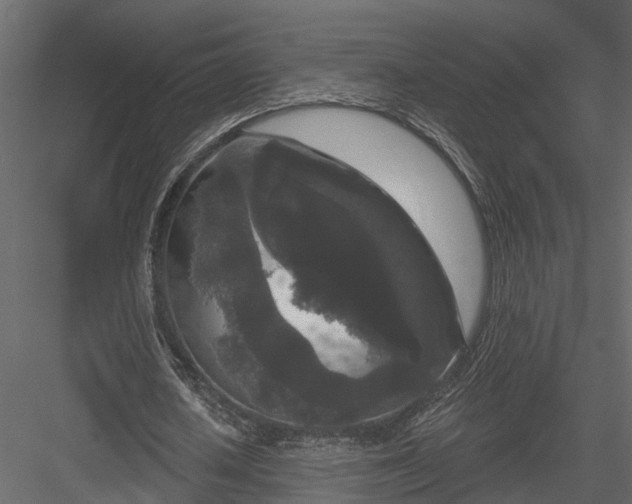 X0000083990626200702232112