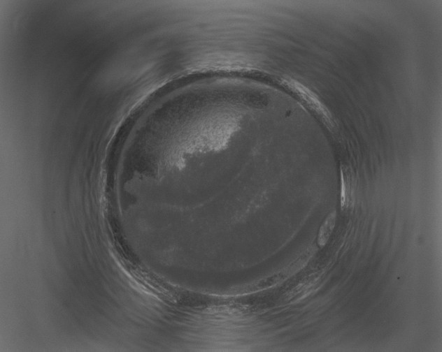 X0000083990627200702232112