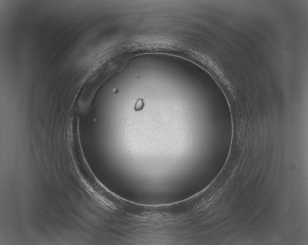 X0000083990629200702232112