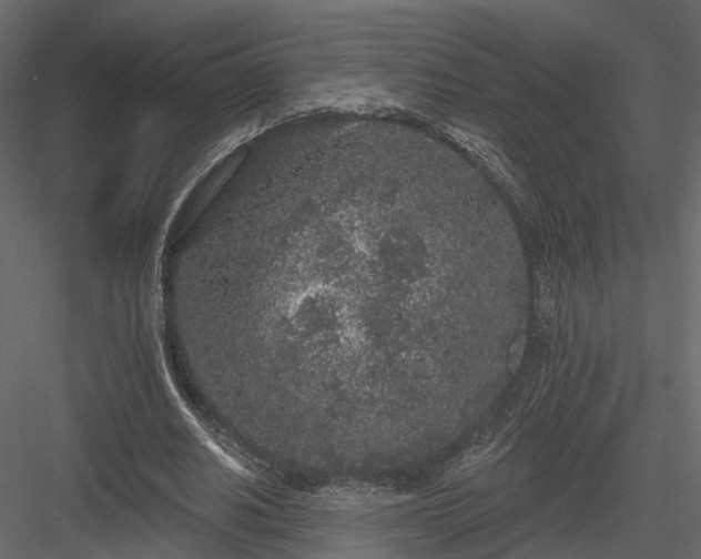 X0000083990630200702232112