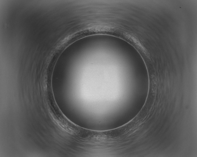 X0000083990631200702232112