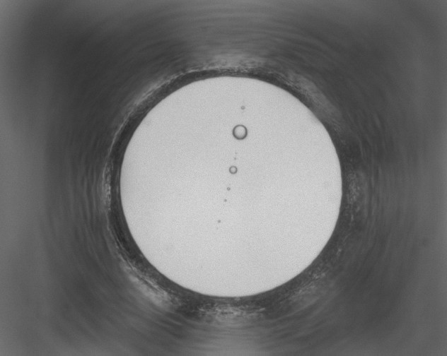 X0000083990632200702232112