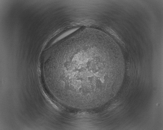 X0000083990634200702232112