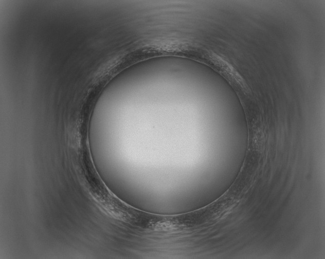 X0000083990635200702232112