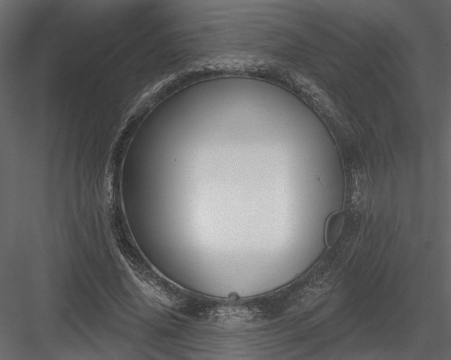 X0000083990636200702232112