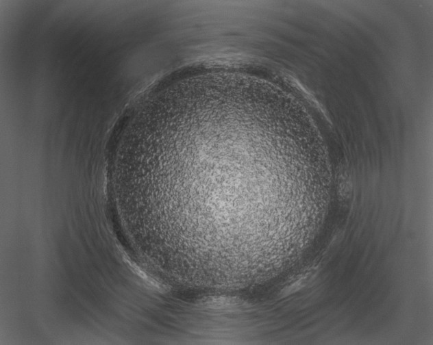 X0000083990637200702232112