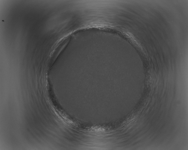 X0000083990640200702232112