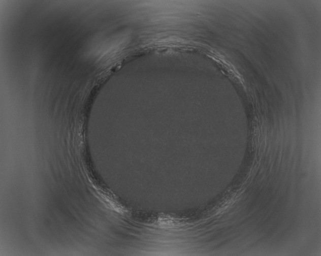 X0000083990641200702232112