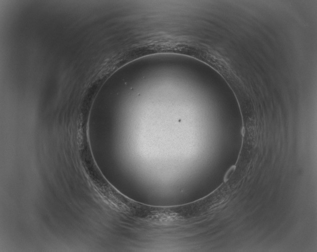 X0000083990642200702232112