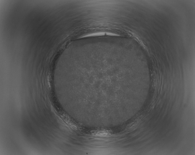 X0000083990643200702232112