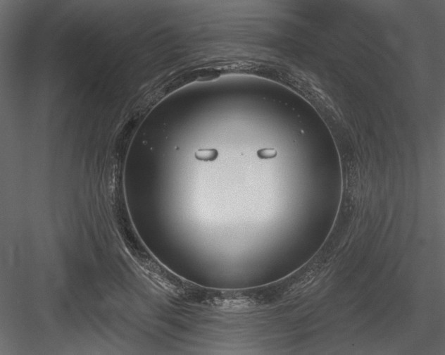 X0000083990645200702232112