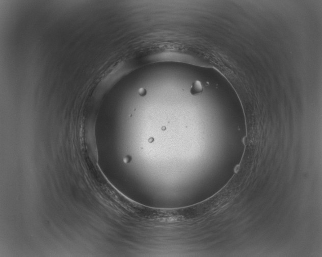 X0000083990646200702232112