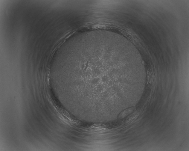 X0000083990648200702232112