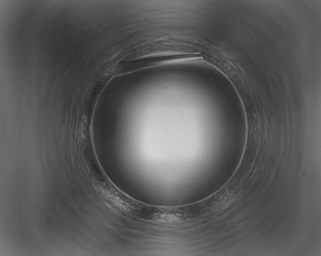 X0000083990649200702232112