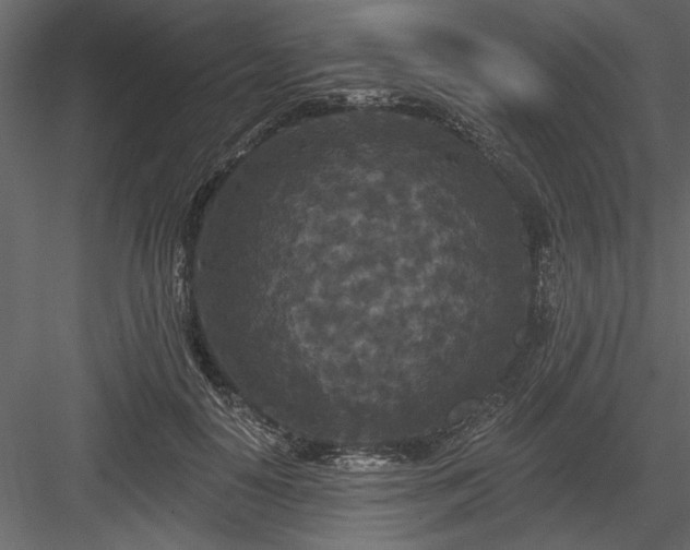 X0000083990650200702232112