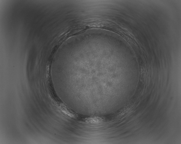 X0000083990652200702232112