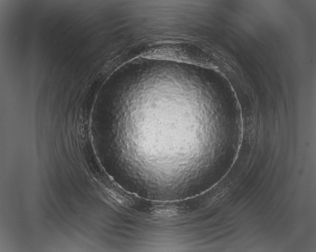 X0000083990653200702232112