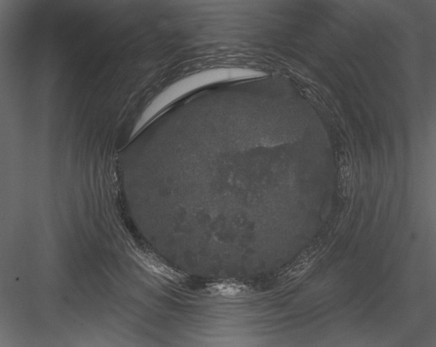 X0000083990654200702232112