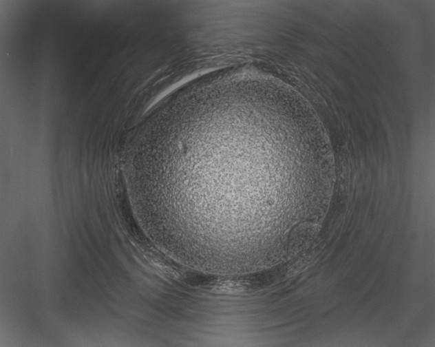 X0000083990656200702232112