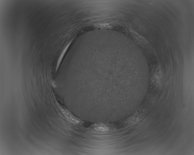 X0000083990658200702232112