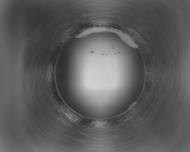 X0000083990660200702232112