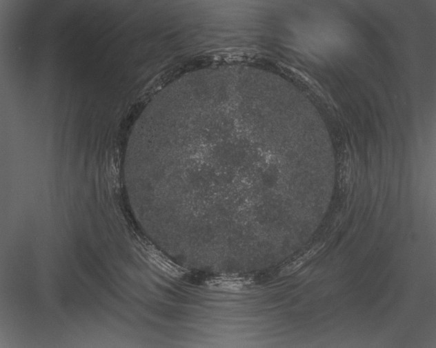 X0000083990661200702232112