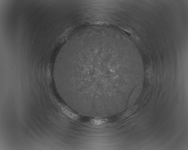 X0000083990662200702232112