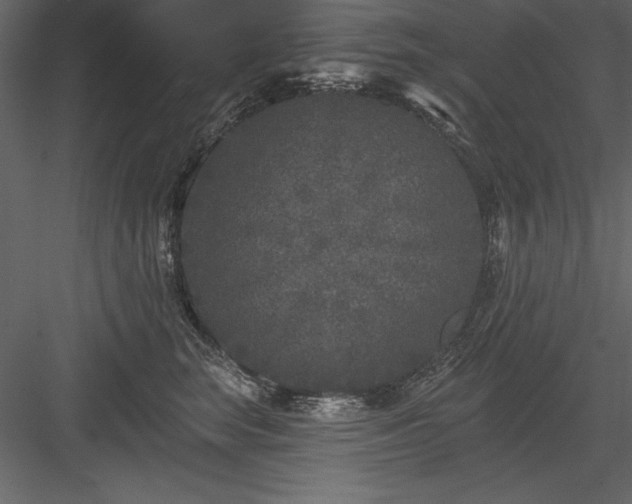 X0000083990663200702232112