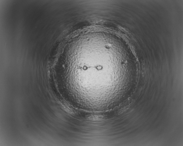 X0000083990664200702232112