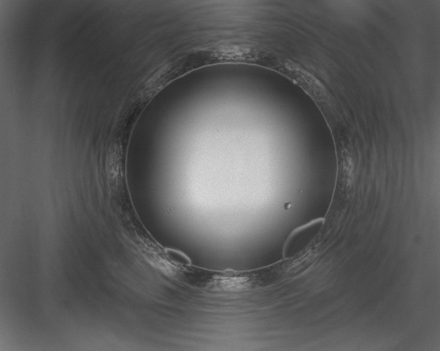 X0000083990665200702232112