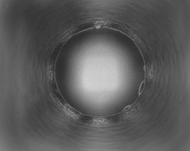 X0000083990666200702232112