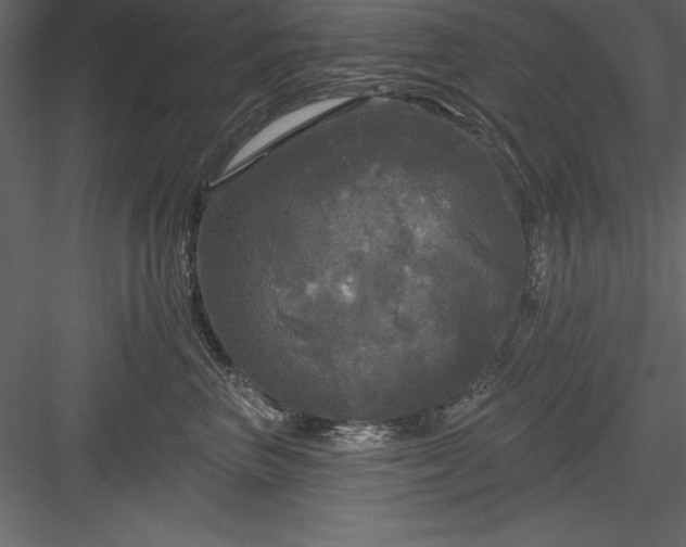 X0000083990667200702232112