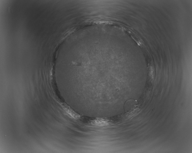 X0000083990668200702232112