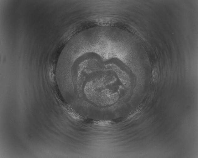 X0000083990671200702232113