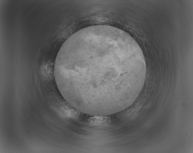 X0000083990672200702232113