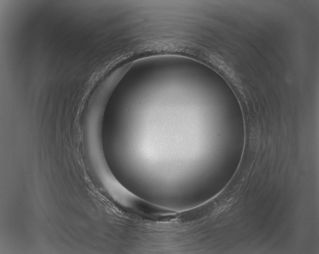 X0000083990673200702232112