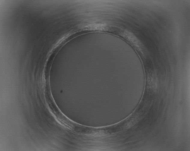 X0000083990674200702232112