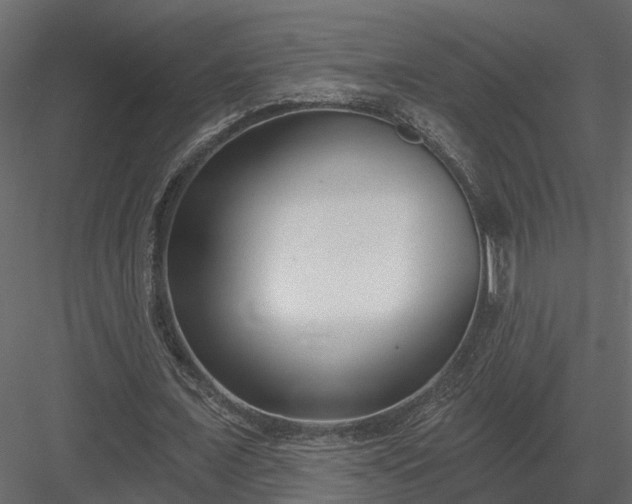 X0000083990675200702232112